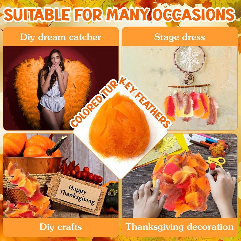 Lyrow Store 800 Pcs Thanksgiving Fall Feathers DIY Craft Color Feathers Dream Catcher Decoration Natural Fluffy Dress up Party Decoration, 2-4 Inches (Bright Color) - Image 4